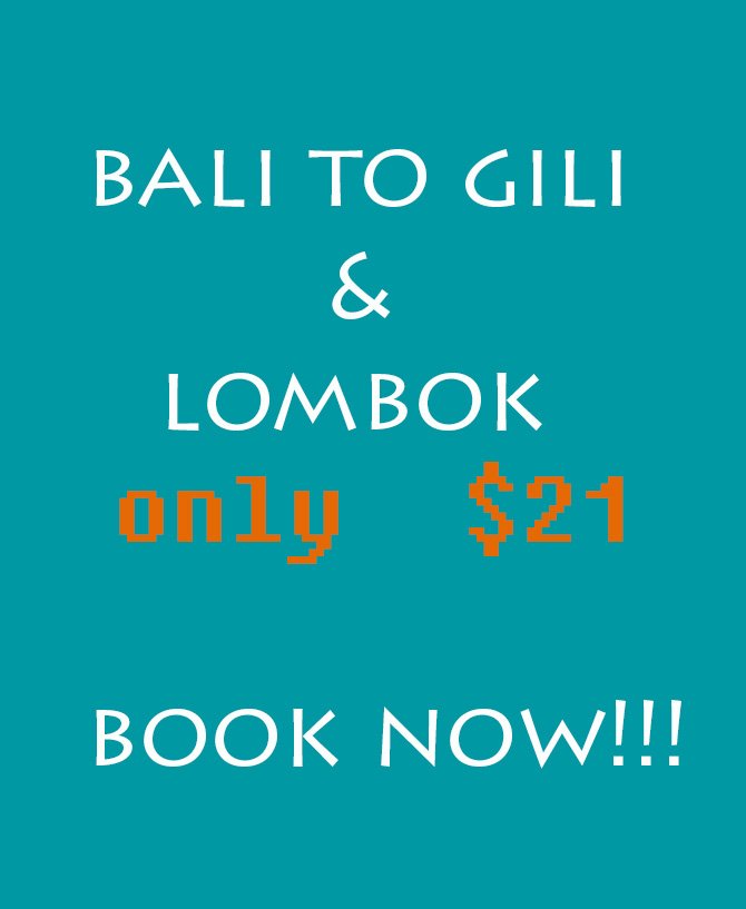 Special Offer of this Month !