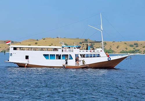 Boat Tour to Komodo from Gili Trawangan