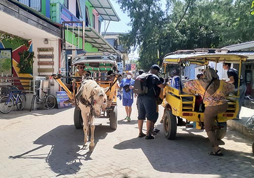 Cidomo on Gili Islands