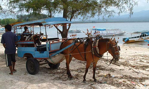 Cidomo Transportation on Gili Trawangan