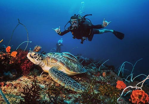 Dive in Gili Trawangan Island