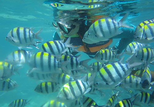 Gili Nanggu, Southwest Lombok