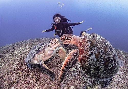 Gili Trawangan Dive Indonesia