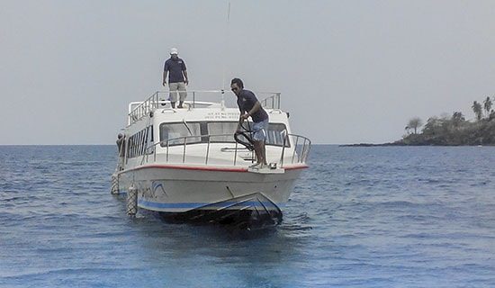 Mahi Mahi Fast Boat