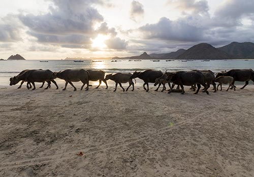 Selong Belanak Lombok Island