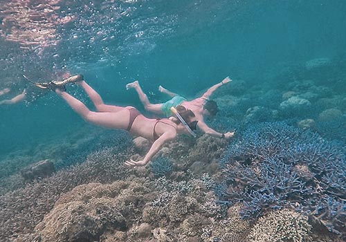 Snorkeling on Gili Gede